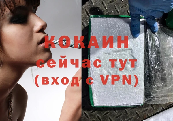 Альфа ПВП Верея