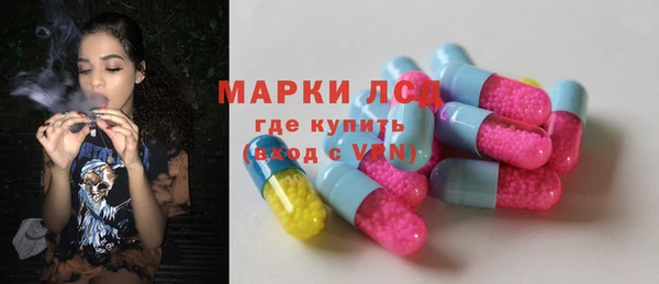 Альфа ПВП Верея