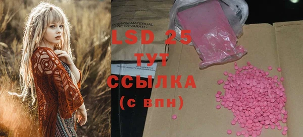 Альфа ПВП Верея
