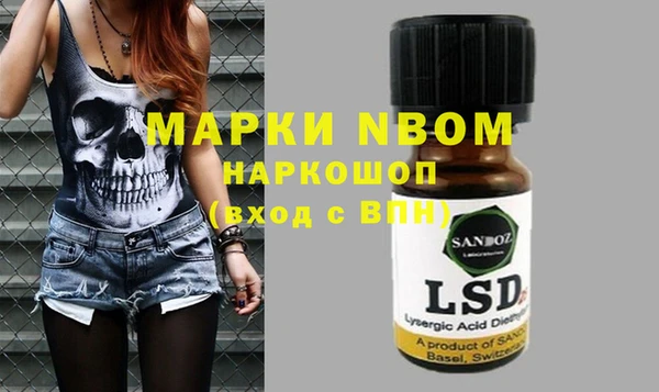 Альфа ПВП Верея