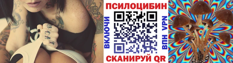 дарнет шоп  Щучье  blacksprut онион  Псилоцибиновые грибы мухоморы 