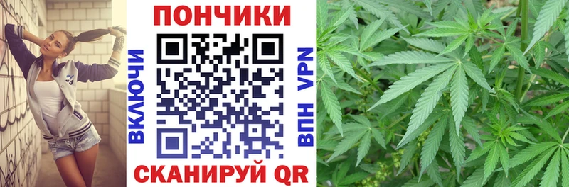 закладки  Щучье  Бошки марихуана Bruce Banner 